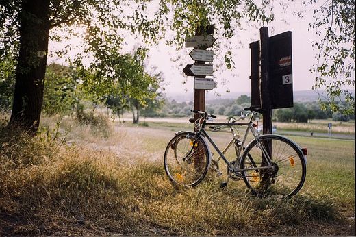 Señales y normas imprescindibles que todo ciclista debe conocer