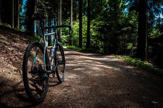 ¿Qué necesitas para disfrutar de tu bicicleta en otoño?