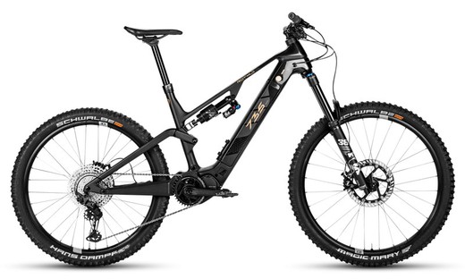 Bicicleta Eléctrica Rotwild R.E735 CORE