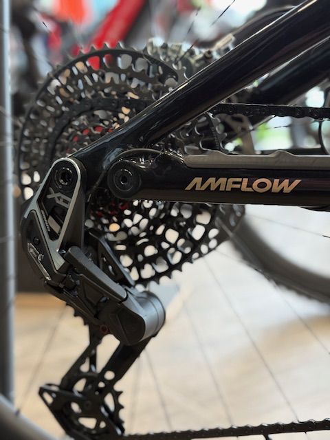 ⚡🚵‍♂️ Bicicleta AMFLOW PL CARBON PRO (800 Wh) | Ligereza, Potencia y Tecnología Premium en una e-MTB de Alto Rendimiento 🔥💎