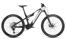Bicicleta Elëctrica Rotwild RC 750 Pro