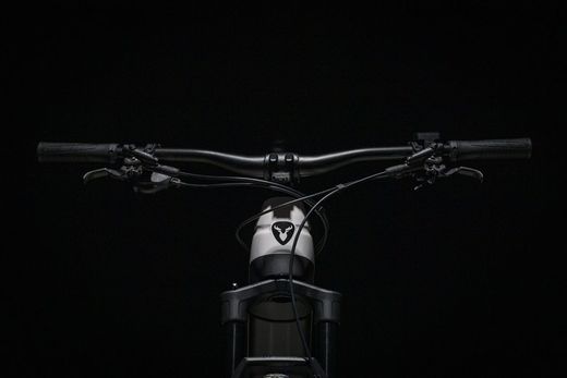 Bicicleta Elëctrica Rotwild RC 750 Pro