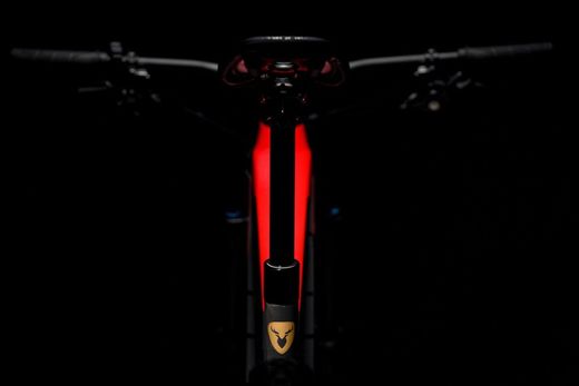 Bicicleta Eléctrica Rotwild  RX 735 Core