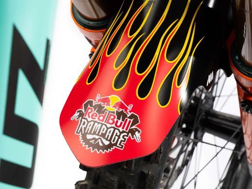 Guardabarros AMS x Red Bull Rampage Llamas Freeride 🚵‍♂️ | Guardabarros MTB 🏔️