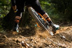 Neumático Minion Dhr Ii Mountain 29x2.40 Wt 60 Tpi Foldable Exo/Tr