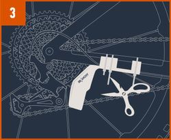 Protector cambio trasero Branchy