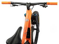 Protector de Cuadro AMS x Red Bull Rampage Frame Guard Extra – Ridgeline Marron