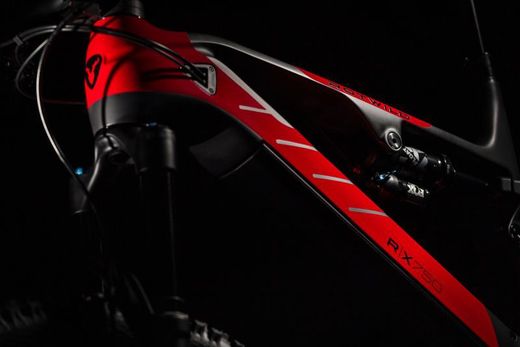Bicicleta Eléctrica Rotwild R.X750 Core