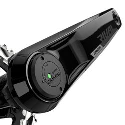 Bielas Sram Power Meter Rival Wide Axs Dub 172,5 43/30 (94bcd)
